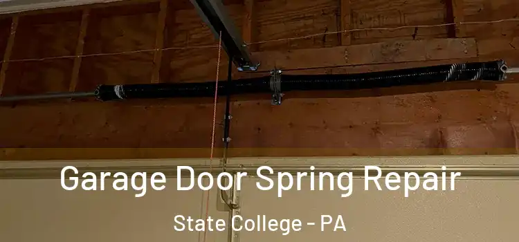  Garage Door Spring Repair State College - PA