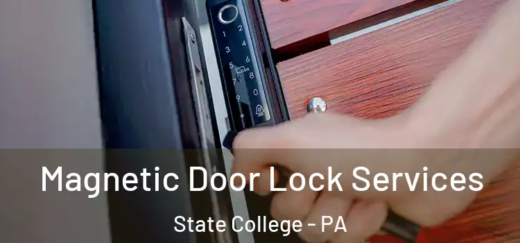 Magnetic Door Lock Services State College - PA
