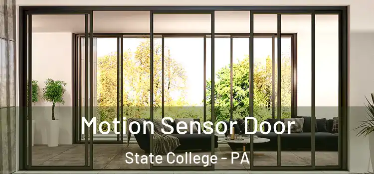 Motion Sensor Door State College - PA